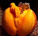 Segos pumpkin nude ♥ pumpkin - RAW PORN GIFS SEARCH